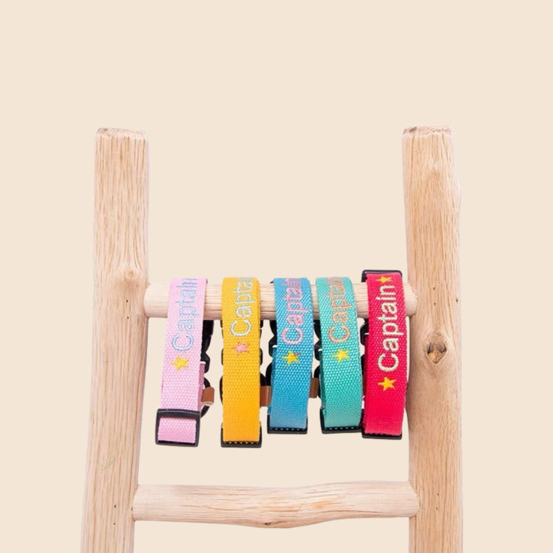 personalized dog collar