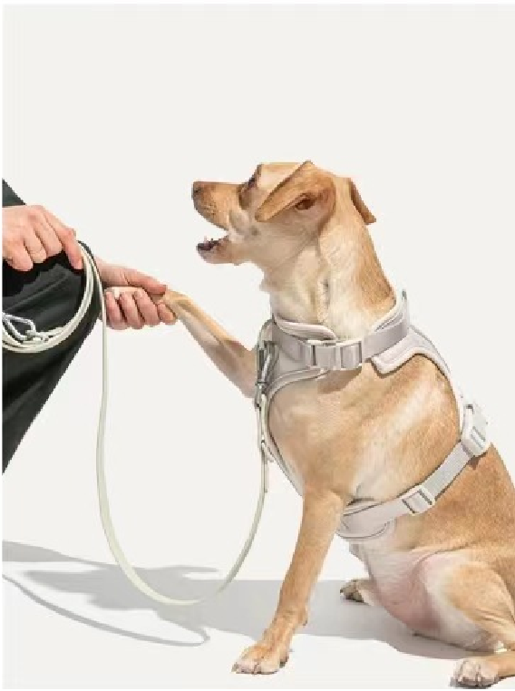 Breathable Neoprene Harness for dogs