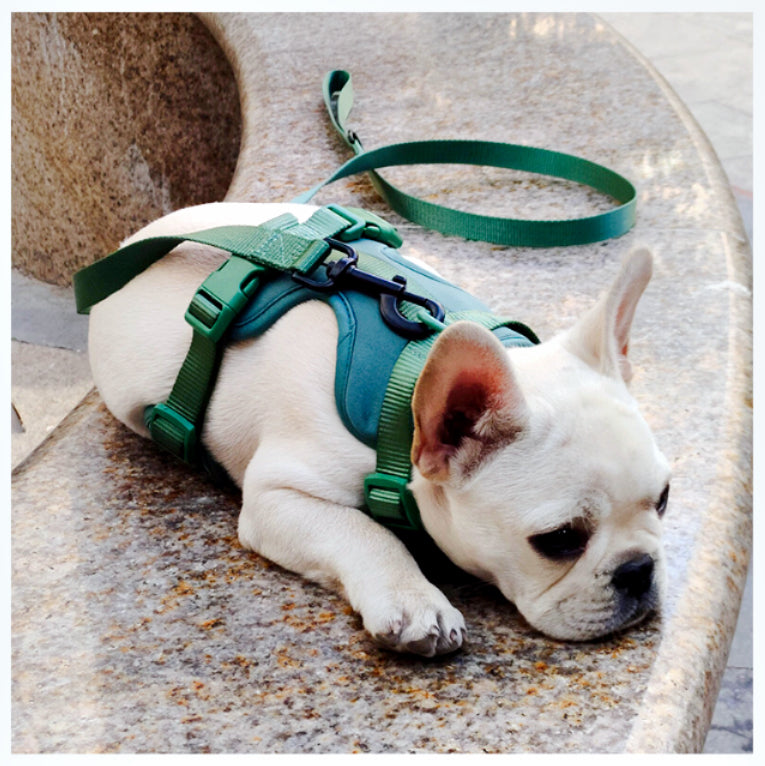 Breathable Neoprene Harness for dogs