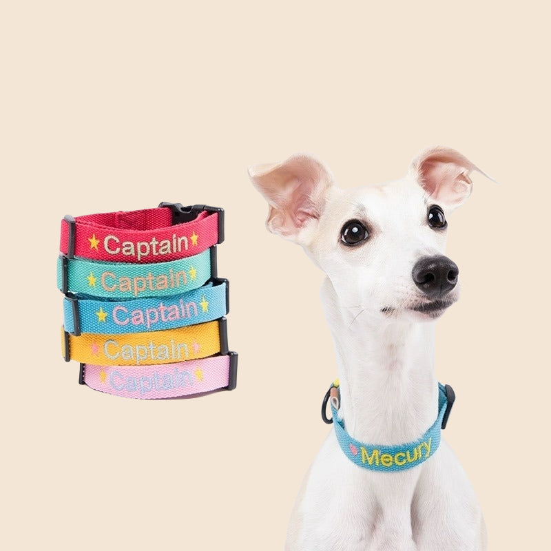 personalized dog collar 