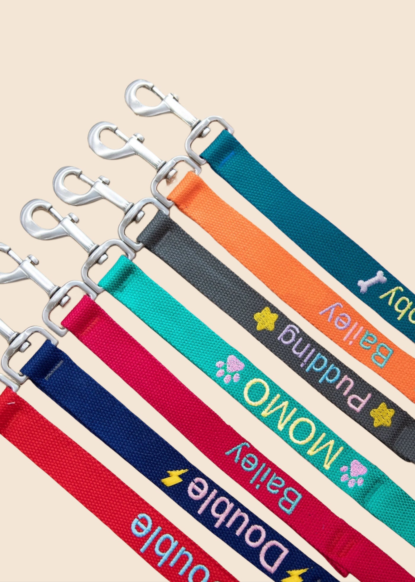 Personalized dog leash