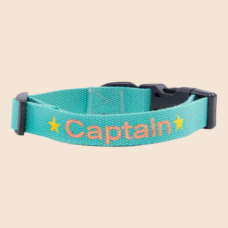 personalized dog collar 