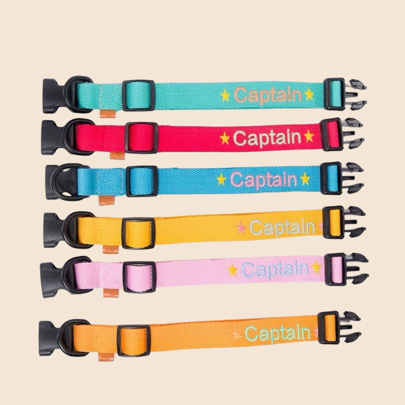 personalized dog collar 