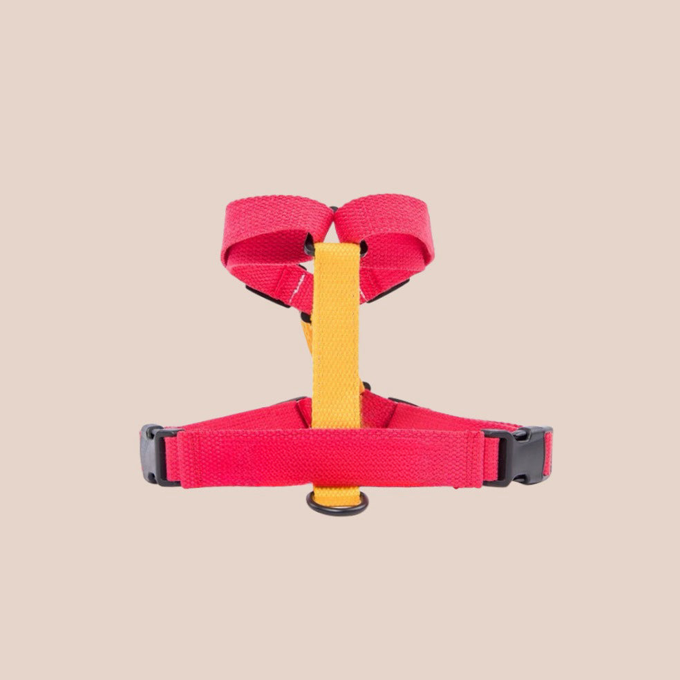 Personalized H-shaped anti-pull harness