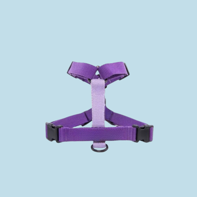 Personalized H-shaped anti-pull harness